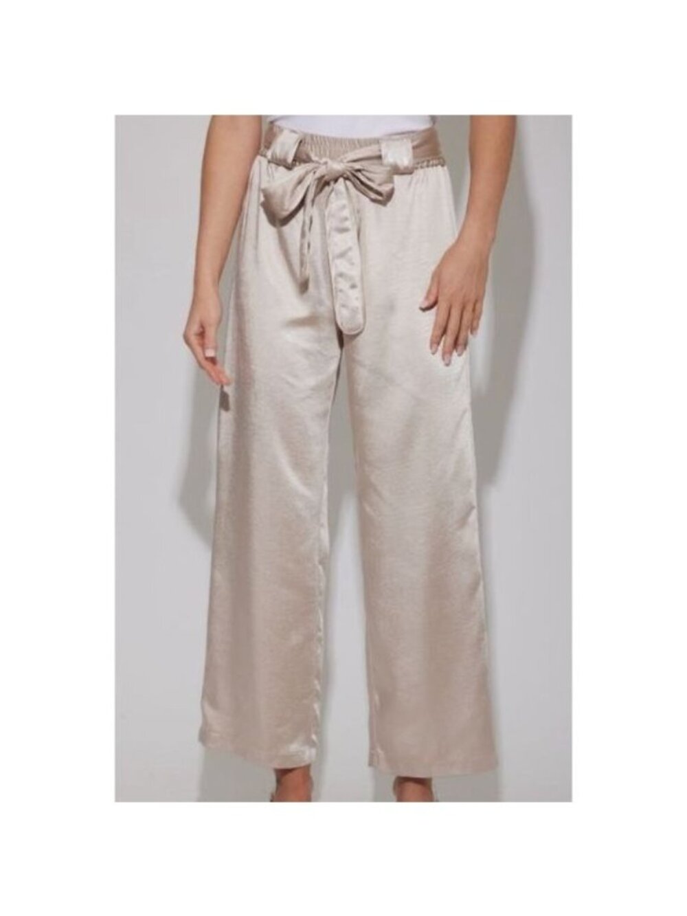 NWT Generation Love Maria Belted Satin Pant XS Champagne Wide Leg High Waisted